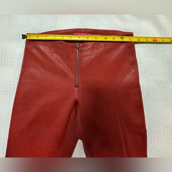 Alice & Olivia Red Leather Zip Fly Pants
Size 2 - Picture 10 of 14
